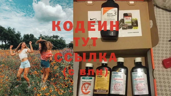 стафф Корсаков