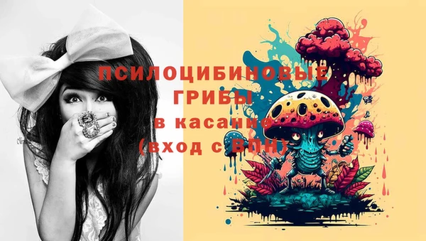 бошки Костерёво