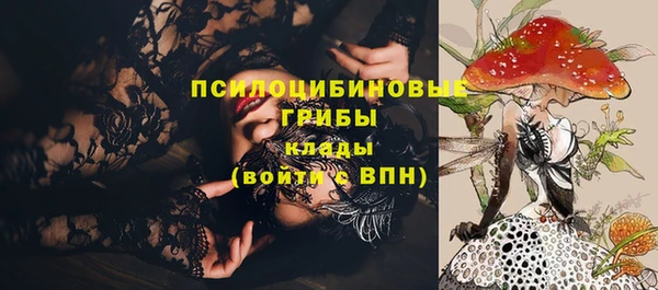бошки Костерёво