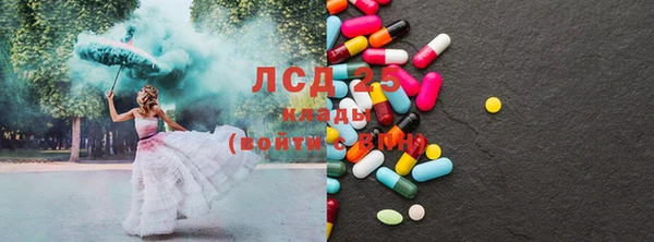 стафф Корсаков