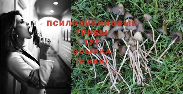 стафф Корсаков