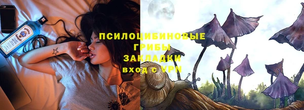 бошки Костерёво