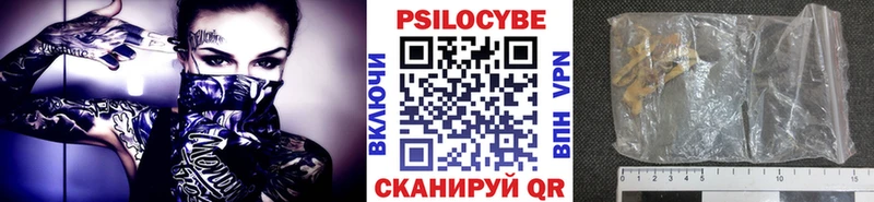 Галлюциногенные грибы Psilocybe Лянтор